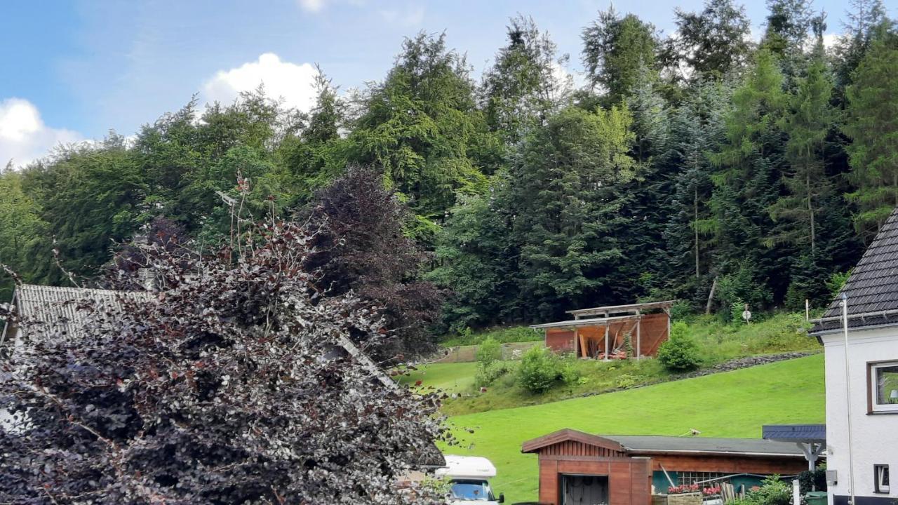 Yalet Ferienhaus 2 Appartementen Vlakbij Willingen Brilon-Wald Екстериор снимка