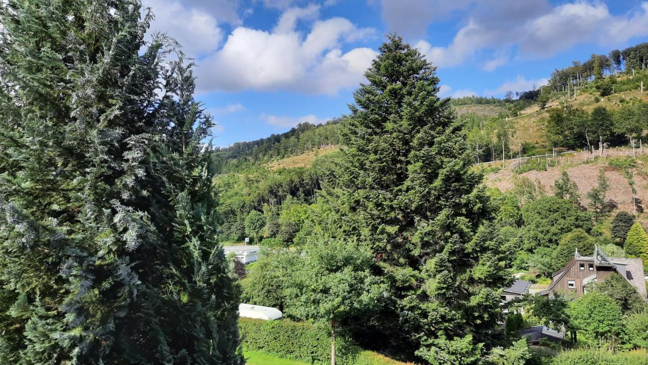 Yalet Ferienhaus 2 Appartementen Vlakbij Willingen Brilon-Wald Екстериор снимка