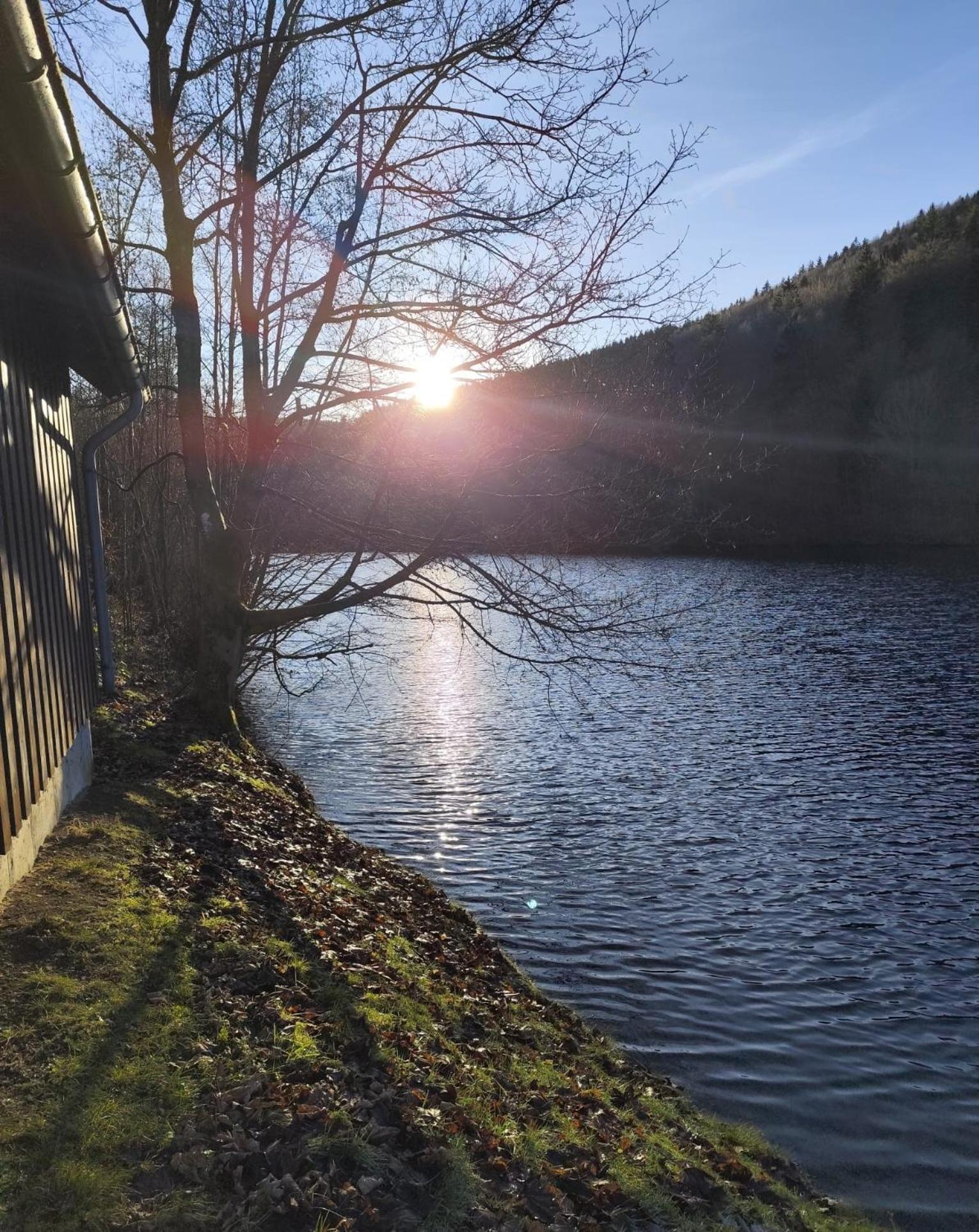 Yalet Ferienhaus 2 Appartementen Vlakbij Willingen Brilon-Wald Екстериор снимка